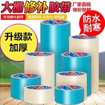 Sunscreen Large volume Multi-purpose canopy Canopy Film Green Ruptured Anti-Aging Tent TENT GREENHOUSE SUPPLEMENT FILM ADHESIVE TAPE TRANSPARENT