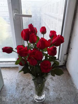 真的好凉快又很漂亮还非常舒服 真的好凉快又很漂亮还非常舒服