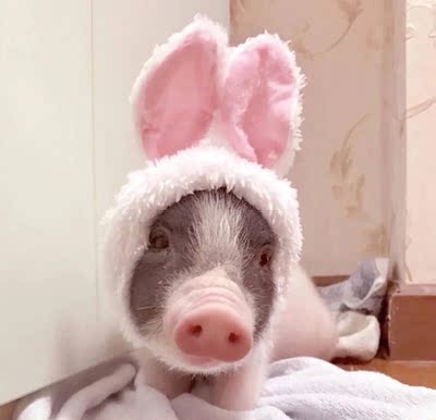 是给妈妈买的，大小什么的我觉得没有问题，虽然我妈妈还没有试穿，到货很快，并且衣服怎么说，这个价位真的超级惊喜，性价比很高，我没有拍照，因为买之前我看到了好多买家秀，然后加上我自己收到货，发现图片跟实物相符和，满意满意满意！我决定下一次也要买一套自己穿，不夸张的说，跟我买的恒源祥的质量一样