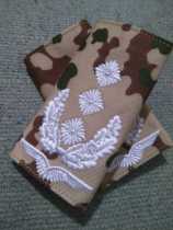 German dabbers camouflares shoulder-to-shoulder chockon blank smiles