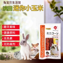 Pets 88 Hamada mini corn hamster snack rabbit ChinChin guinea pig Dutch pig molars snack