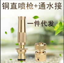 Pure Copper Pacifier Type Straight Spray Gun 3 Pieces Home Car Wash Water Gun Combined Suit