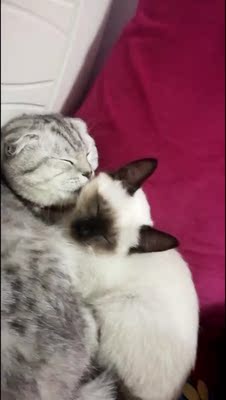 此用户没有填写评价。