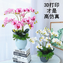 3d Premium Hand-feel Imitation Phalaenopsis Dry Green Plant Botanical Flower Art Indoor Living Room Decor Fake Flowers