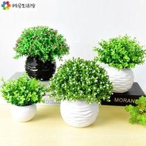 Simulation Green Plant Small Potted Bonsai Home Living Room Furnishing Hem Room Desk Decoration Mini Fake Flowers Potted Plant