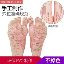 Weiye high definition foot mold foot massage reflection area acupoint model Soft Foot model Foot Foot model 13cm19cm