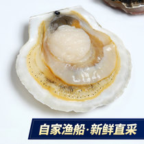 Dalian specializes in large large Hawaii Shrimp Yi fan seafood aquatic garlic fans 1 kg 4 head