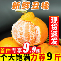 Spot ugly orange Orange fresh 9kg fruit orange whole box not knowing the fire ugly eight strange orange Orange emperor rake 10