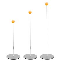 Trainer for training of personal trainer for table tennis trainer