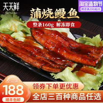 Export quality Japanese-style Pu-yaki eel Korean sushi dish grilled eel Less juice eel 160g