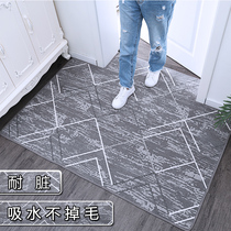 Door floor mat household absorbent entrance door mat porch non-slip foot mat sub-Hall living room bedroom carpet