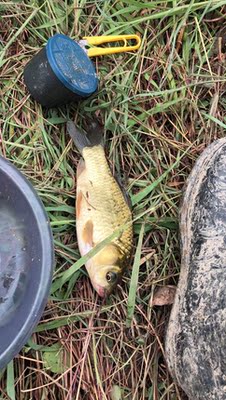 很不错,服务态度很好,有点问题客服很快就给了让我最满意的处理结果。 很不错,服务态度很好,有点问题客服很快就给了让我最满意的处理结果。