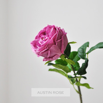 (Nine Thoughts) Hand Feel Simulation Flowers Single Head Long Branch Austin Rose Living-room Foyer Luxury Decoration F624