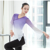 Classical dance body rhyme gauze slim trumpet sleeve split practice Gong suit womens elastic mesh coat top 2020 New