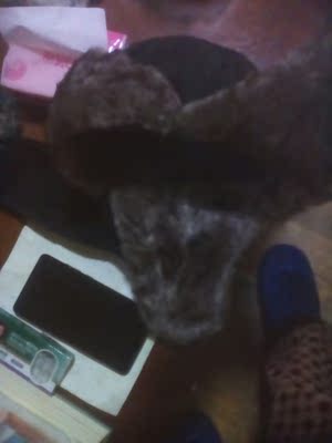 帽子很暖和可以抗风保暖，价格便宜很满意给好评！