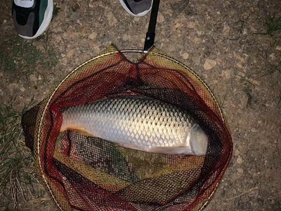 鱼竿很给力哦,五六斤左右能轻松起 鱼竿很给力哦,五六斤左右能轻松起