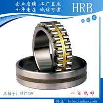 Harbin Haaxis Total Factory Lathe Spindle Bearings NN3010 3011 3012 3013 3014KP5P4W33