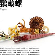 Limulus hornstone simulation Nautilus ammonite model Plastic biology Education Ancient gift Trilobite toy Children
