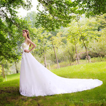 Famous Bride wedding dress 2018 new long tailed trabbust retro palace fashion wedding dress luxury 846