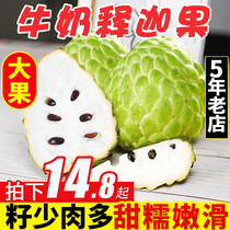 Milk pineapple Sakyamuni fresh fruit 5kg of lychee Mani season whole box of Ringo Taiwan variety