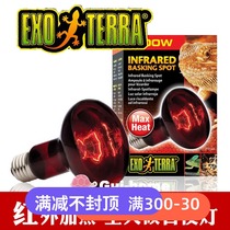 Xijin HAGEN crawler heating lamp uva heat lamp infrared heating lamp crawling pet all-weather night light day lamp