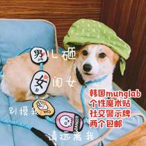 Spot Korean munglab cute funny traction rope personality velcro social warning signs two