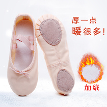 Canvas soft-soled cat claw shoes Children children dance shoes Girls practice shoes Ballet shoes Pointe shoes Adult velvet