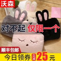Hot water bag charging baby girl cute winter explosion proof plush cartoon warm water bag female hot compress belly hand treasure