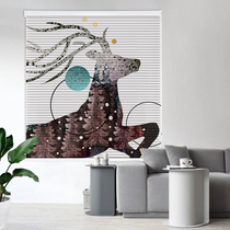 Hengji New Organic Curtain Nestle Curture Living Room Toilet Pull Bearing Roll Shutter Curtain