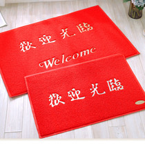 Thickened Non-slip Silk Ring Ground Mat Doorway Doorway Carpet Plastic Greeting Mat Home Rub Doormat Customize Logos