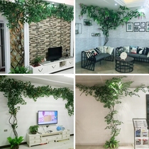 Vine living room tree Vine pipe Green indoor fake flower balcony simulation plant wall rattan decorative wall leaf branches