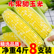 Yunnan gold and silver fruit corn 8 fresh seasonal glutinous sweet 4kg corn season 10 whole box burst pulp
