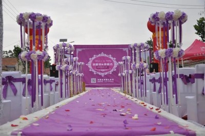 目前看来有人用过Fross/沸斯S5 高端专业KTV音响怎么样，唱歌好不好用