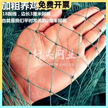 Surrounding Chicken Nets 100 m Rural online Vegetable Ground Netting Chicken Fencing Nets Outdoor Breeding Nets for Chicken Ducks