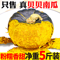 Beibei pumpkin 5kg chestnut flavor Beibei small pumpkin fresh fruits and vegetables Japanese old melon powder glutinous sweet farmhouse 10