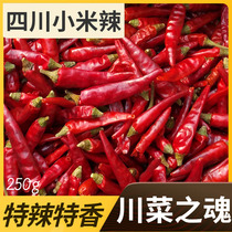 Super spicy super spicy chili king dried chili Seven star pepper Super millet spicy sea pepper chili seasoning New 250g