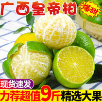 Guangxi Emperor Mandarin fresh seasonal fruit whole box 10kg big wo Mandarin Orange Orange tribute Orange Orange tribute orange