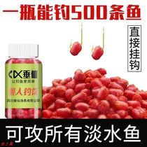 Pituxian Wheat Granular Fish Bait Carp Carp Carp Carp Bait Wild Fishing Sloth Bait Fish Bait All Season Pass Kill Grain Bait