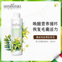 Yilan caffeine anti-stripping shampoo silicone oil-free hair fixation growth Italy imported MN Matna