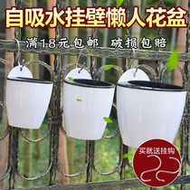 Interesting gardening lazy flowerpot automatic water absorption green rolow flats hydroponic wall-mounted round flowerpot p498