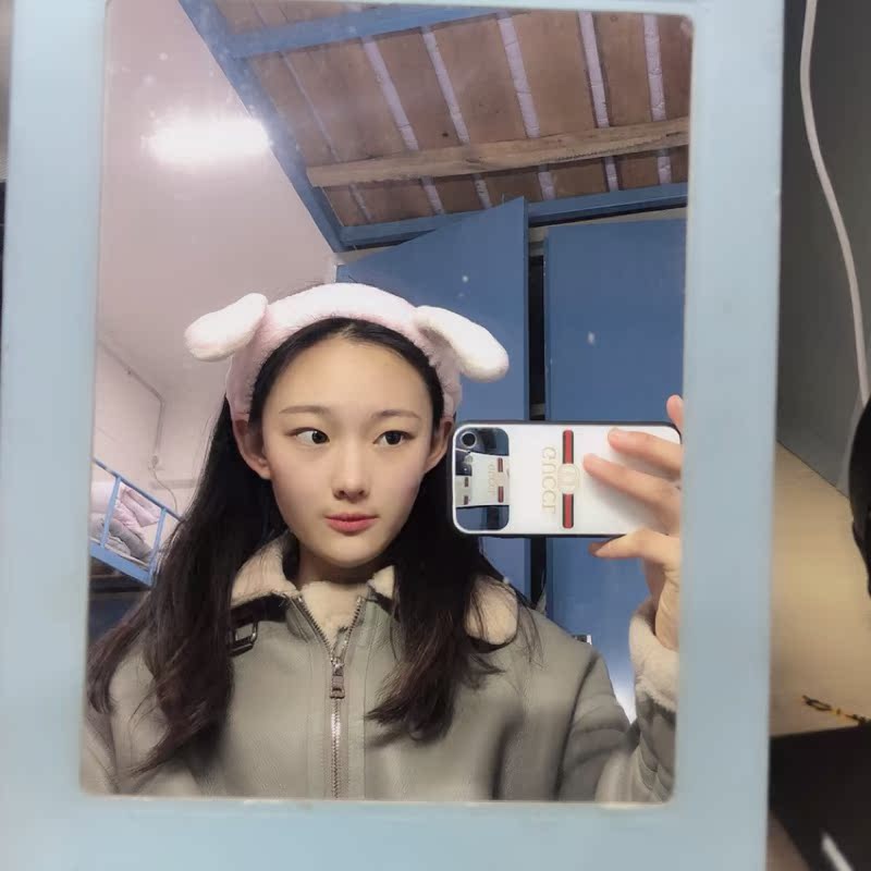 飞毛腿苹果带镜子手机壳手机保护套/壳