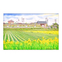 The Jedi 3D-JP 600 pieces of plastic puzzle Matsumoto-early summer H2139 3djp