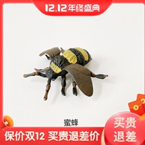Export baby simulation animal model ins doll scene Game Table table children toy insect