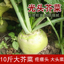 (Regular hair) 5kg of fresh mustard vegetables salty spicy vegetables khuldish north-eastern mustard