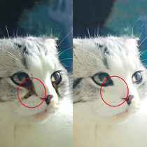 Cat Eye Drops 60ml Cat eye drops Teardrop artifact Eye drops Teardrop soothing Cat supplies