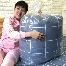 Bag for quilt quilt storage bag moisture-proof clothes plastic transparent big bag moving bag