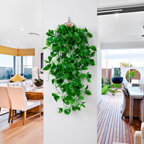 Simulation hanging basket green loo decoration shelter hanging wall green planting false flowers vines wall hanging plant hanging ravine green leaf pituitary hanging