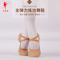 Red dance shoes lace-free soft bottom exercise shoes elastic cloth dance shoes female adult cat claw ballet body shoes 1041