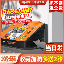 Sticky mouse board Superglue sticky mouse Strong sticky mouse board Mouse glue stick Mouse nemesis Catch mouse dip mouse artifact