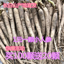 Northeast Changbai Mountain fresh ginseng soup soak wine material pruned soup ginseng 100 ginseng